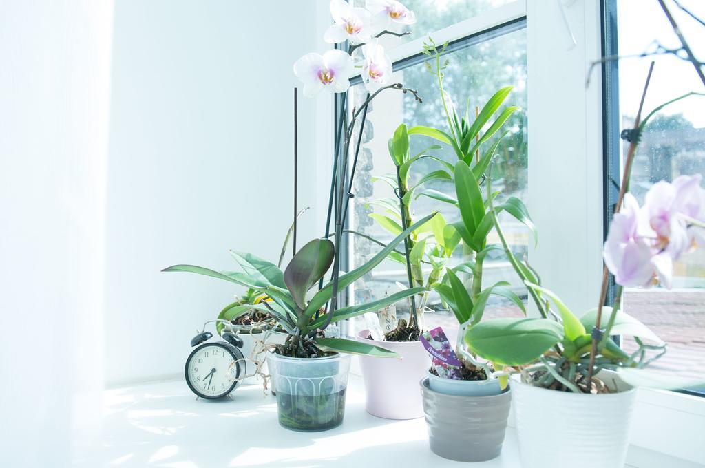 Provence Home ヴィリニュス エクステリア 写真